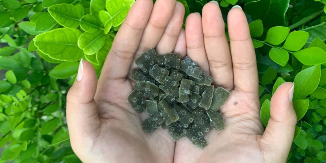 Gum-gum Hair Permen Vitamin Rambut Karya FTP UB